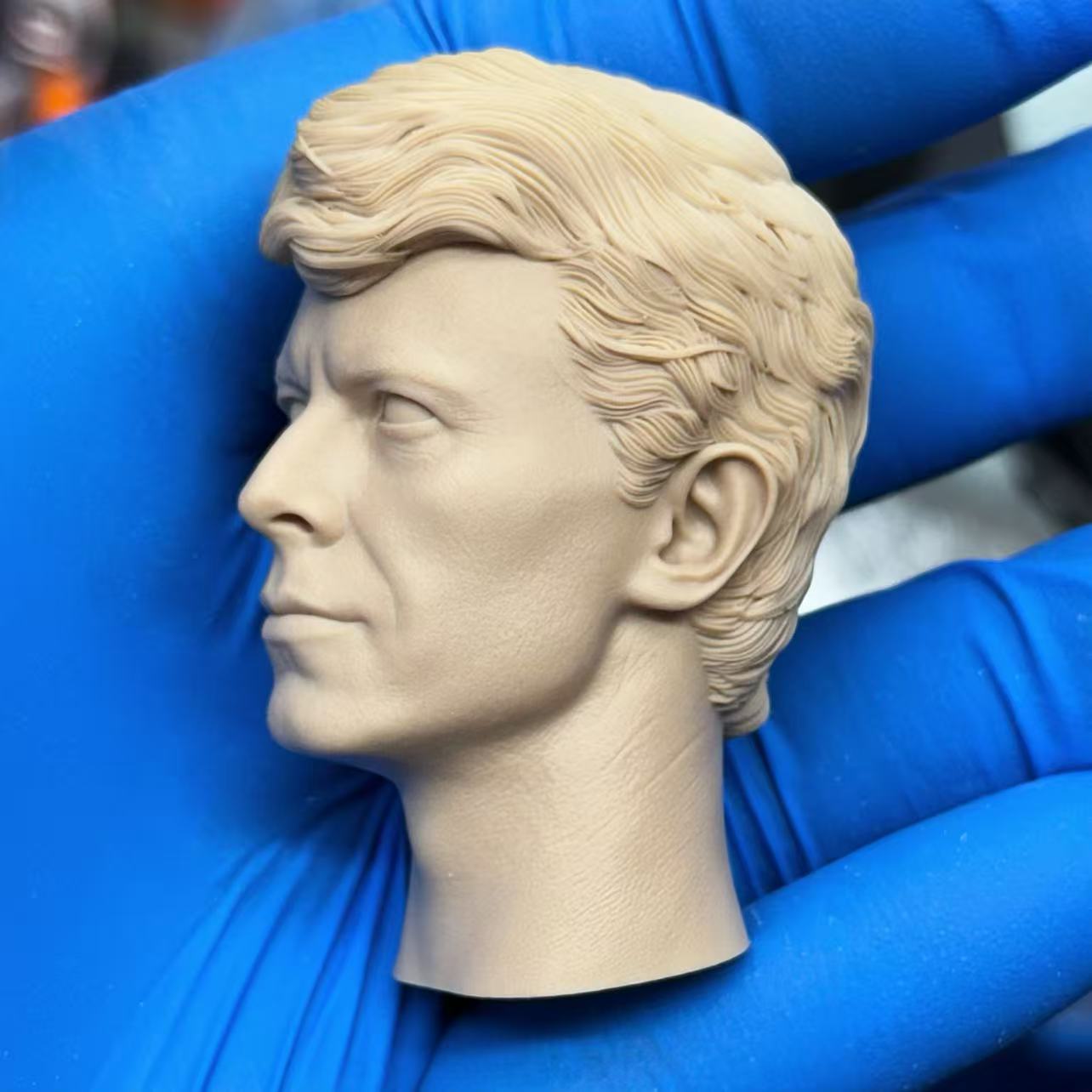 David Bowie | 1/6 Custom Headsculpt Set