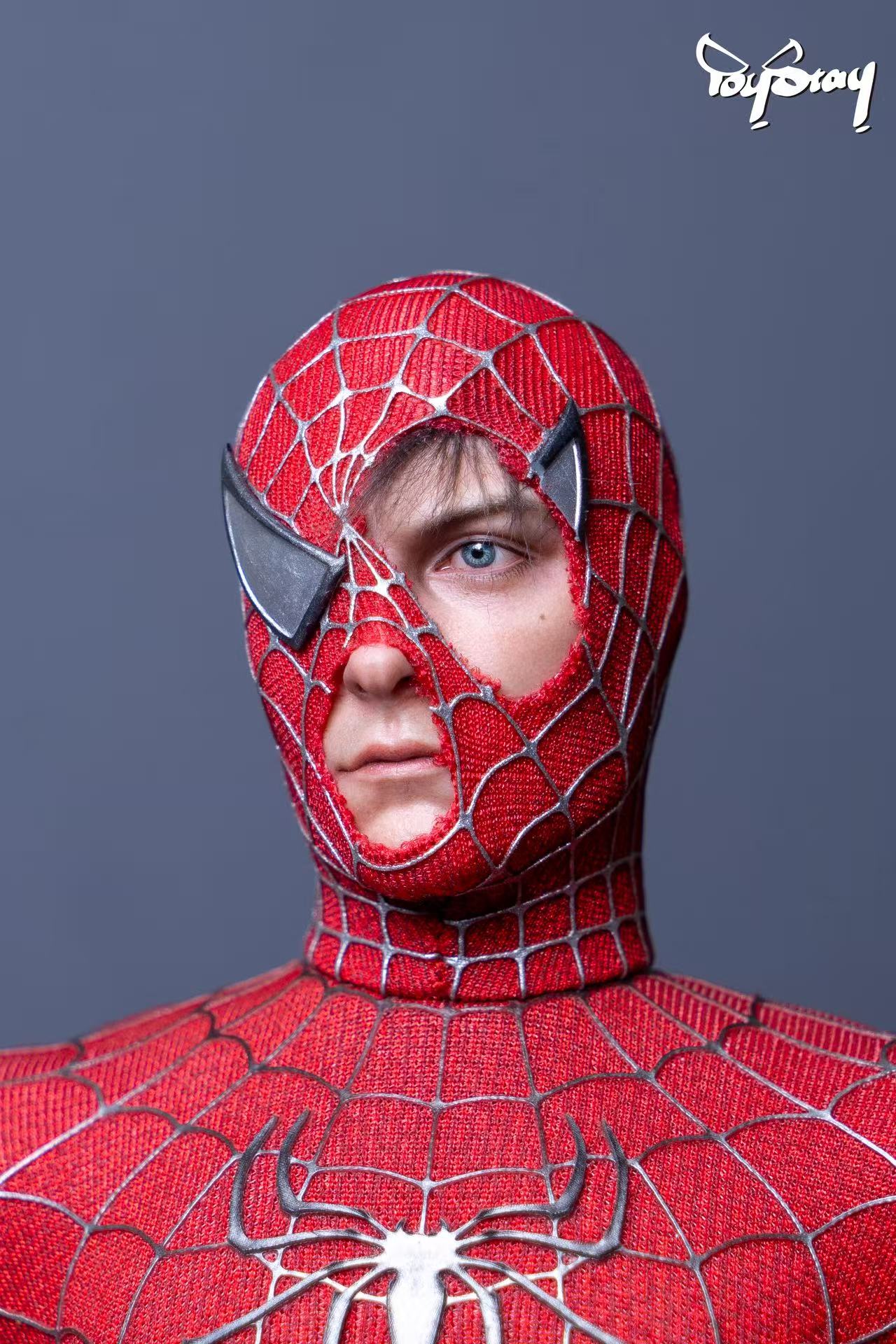 Toystay  Battle-Damaged SM Mask Head Sculpt
