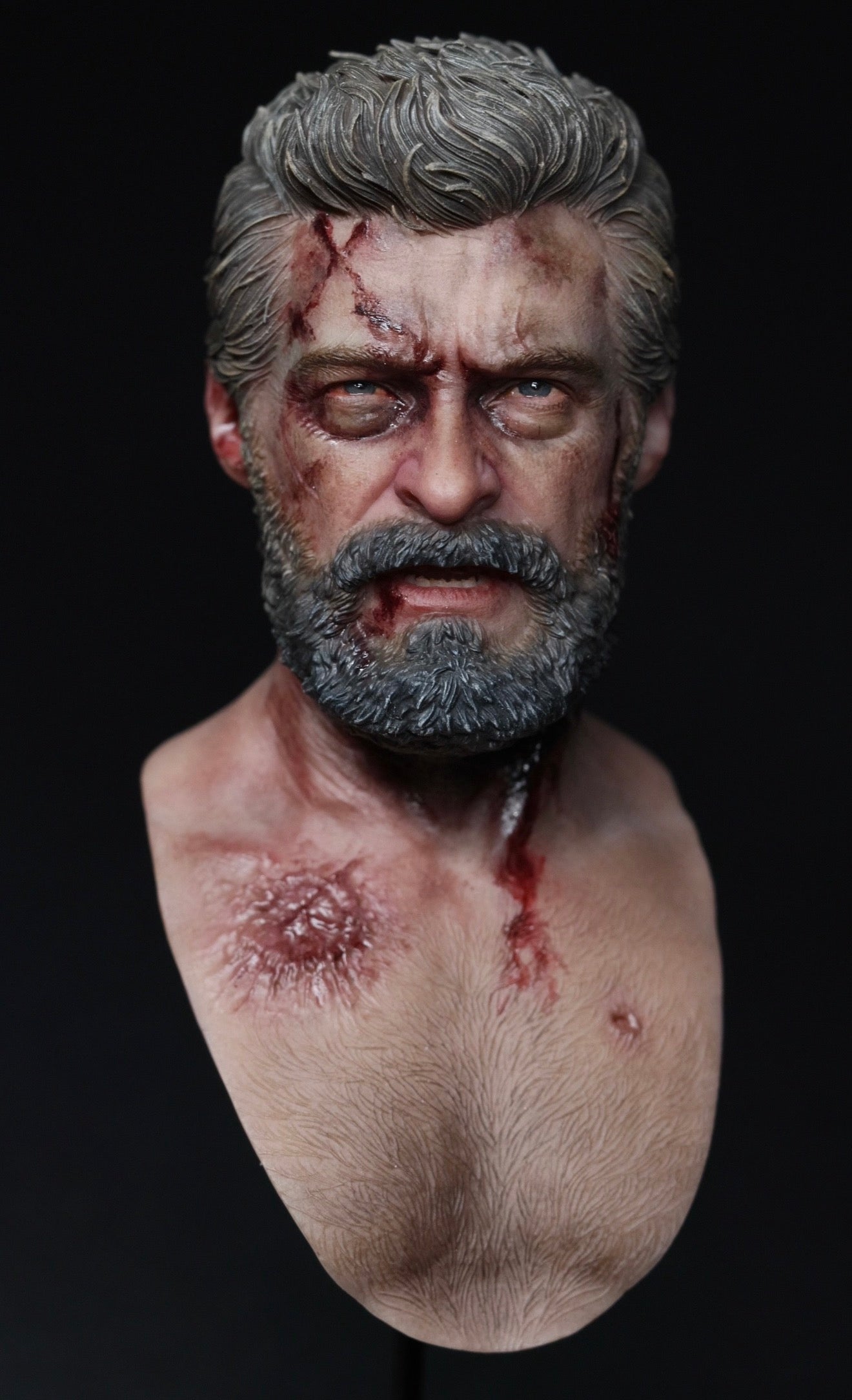TOOPY Studio 1/6 Wolverine (Logan) Head Sculpt BUNDLE SET
