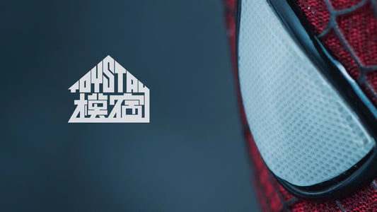 TOYSTAY 1/6  replacement Lens