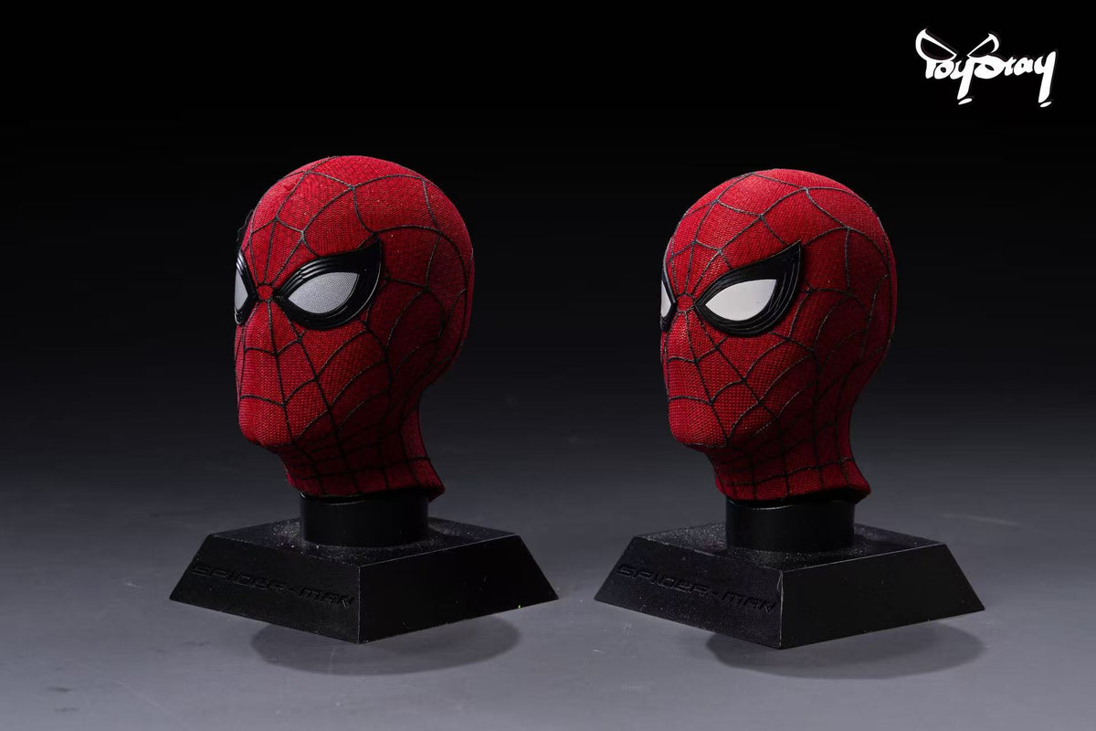 TOYSTAY 1/6 Spider-Man: Brand New Day – Musk Head Sculpt