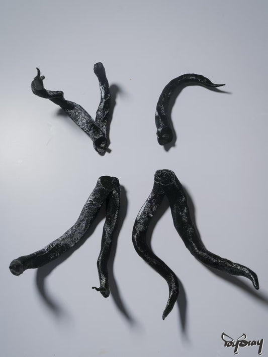 TOYSTAY 1/6 Painted Video Game Ver Tentacles