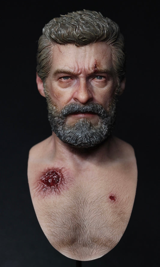 TOOPY Studio 1/6 Wolverine (Logan) Head Sculpt BUNDLE SET